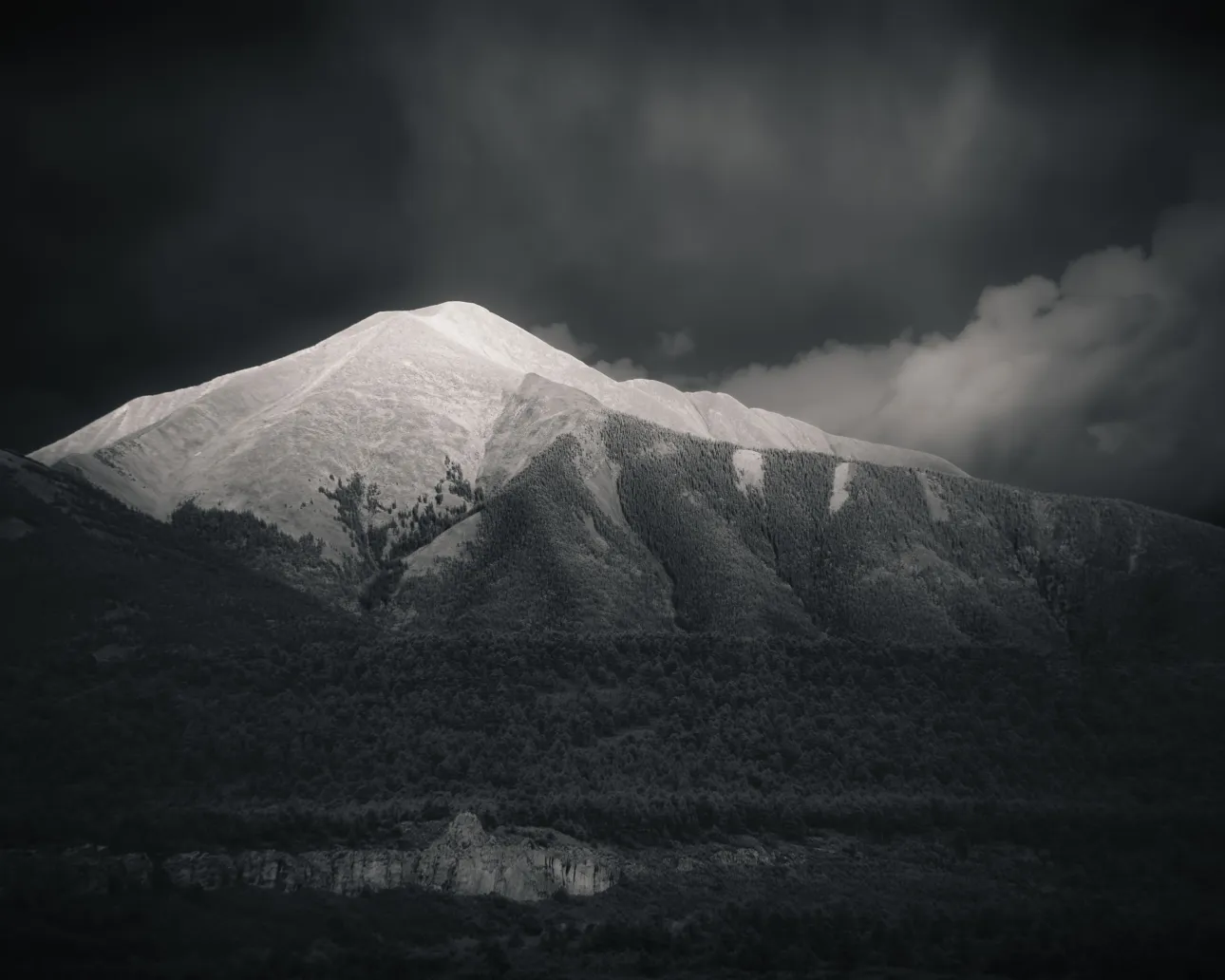 Black & White Printing